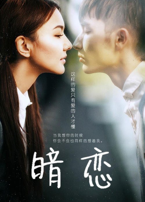 专业办理驾驶证